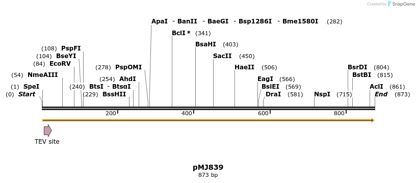 51129_map