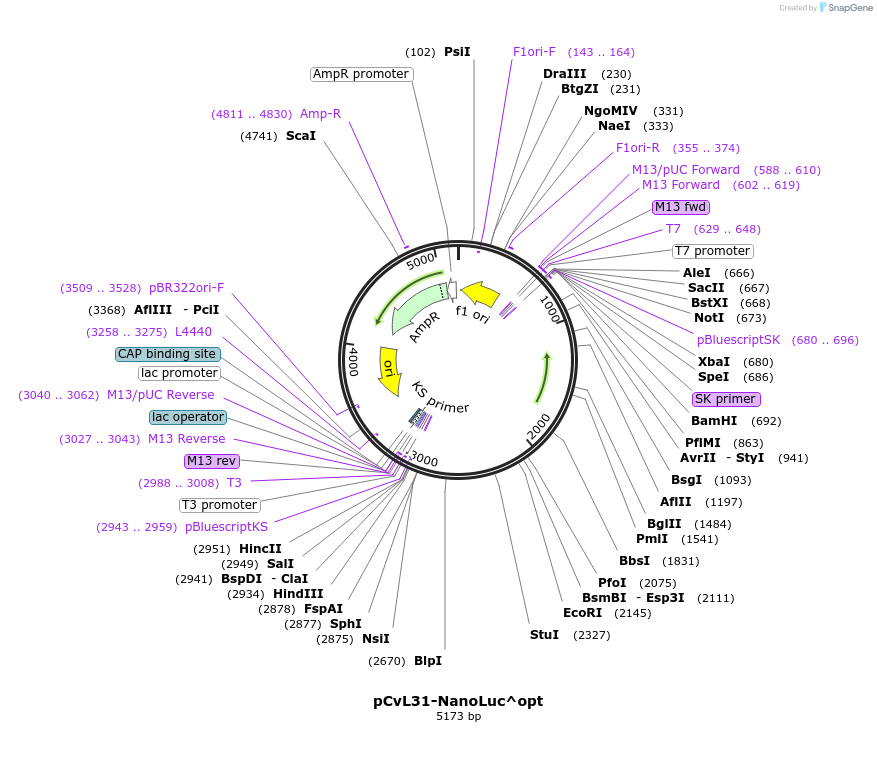 511294_map