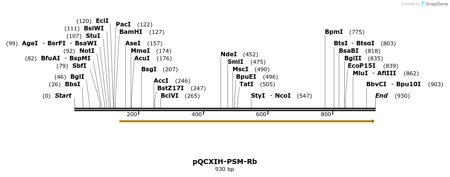 51134_map