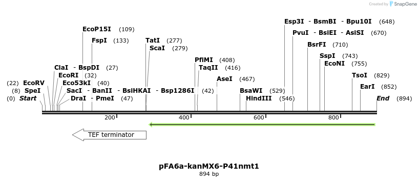 51139_map