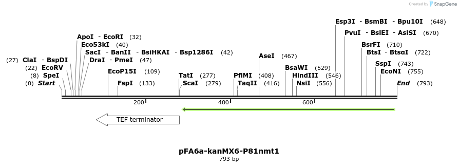 51141_map