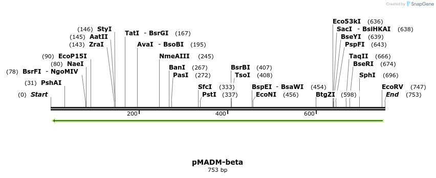 51143_map