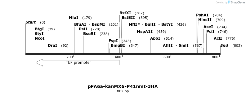 51145_map