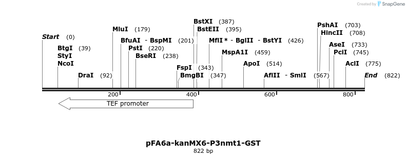 51147_map