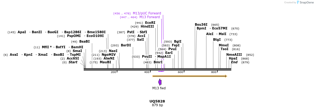 51150_map