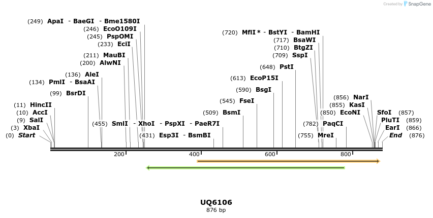 51153_map