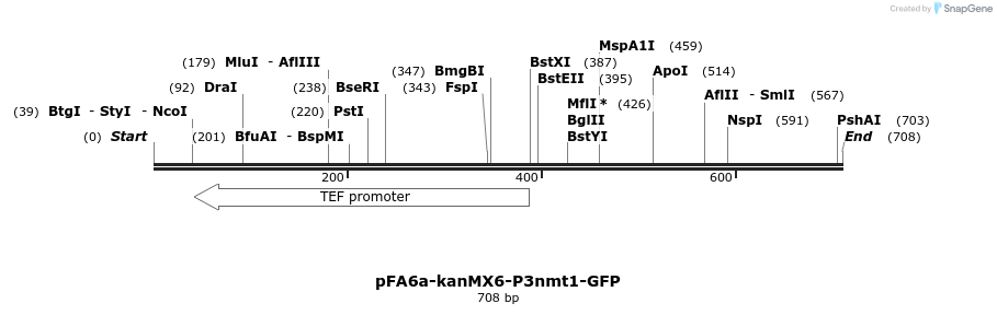 51157_map
