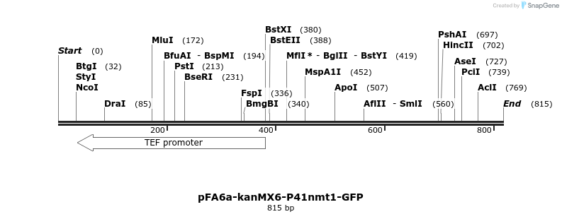 51160_map