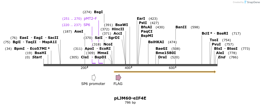 51161_map