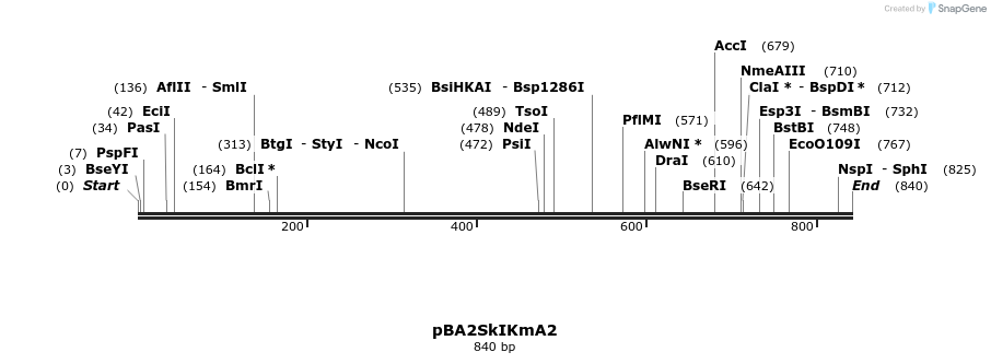 51162_map