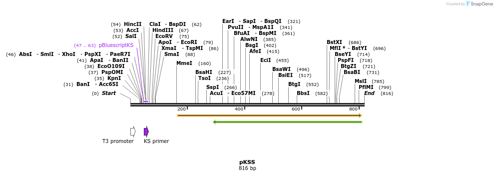 51167_map