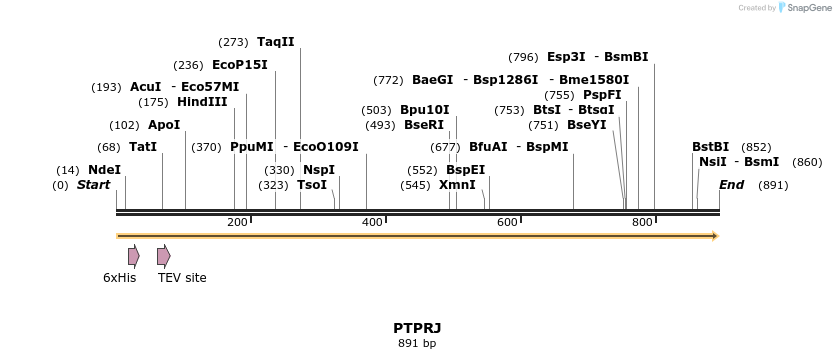 51168_map