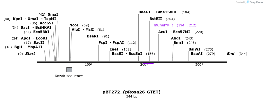 51173_map