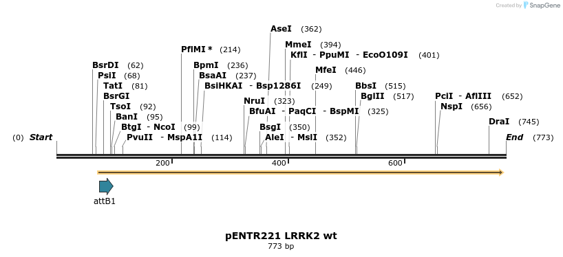 51175_map