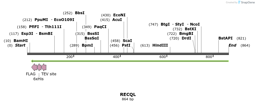 51176_map