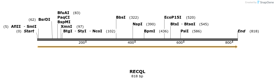 51178_map