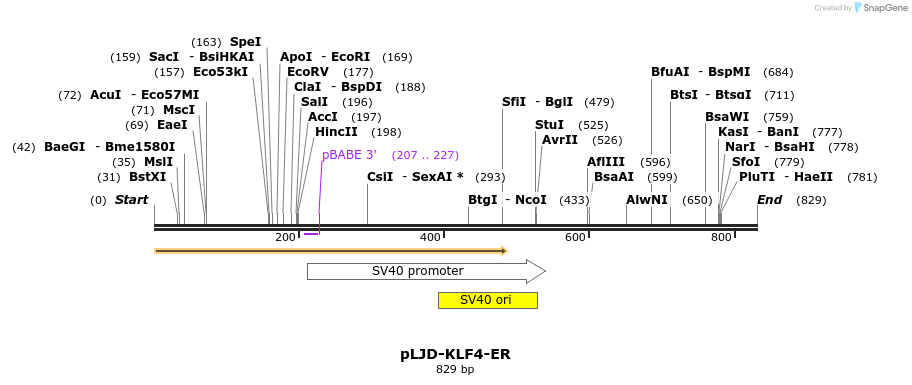 51179_map