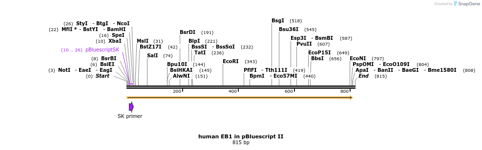 51180_map