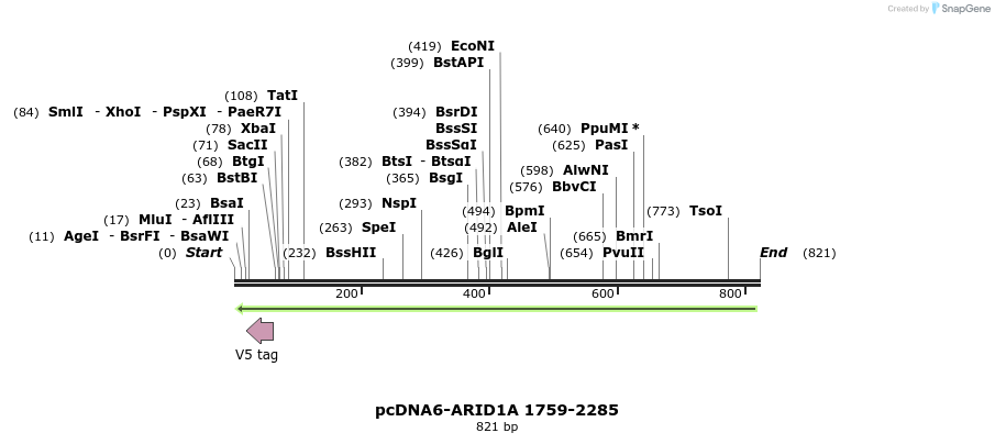51187_map