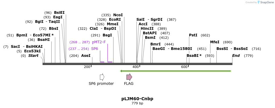 51188_map