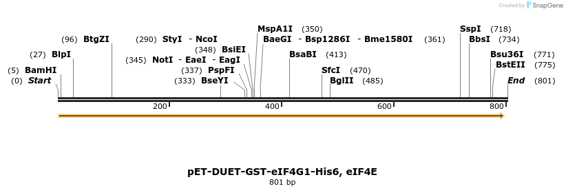 51189_map