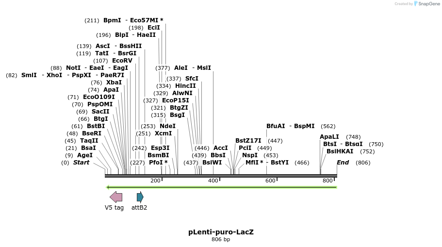51190_map