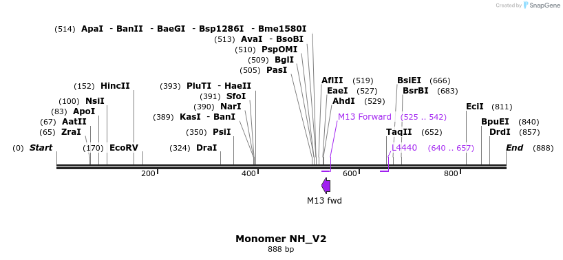 51191_map