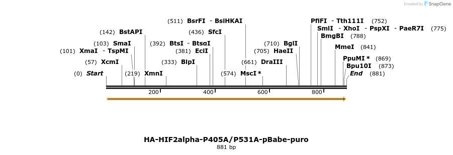 51192_map