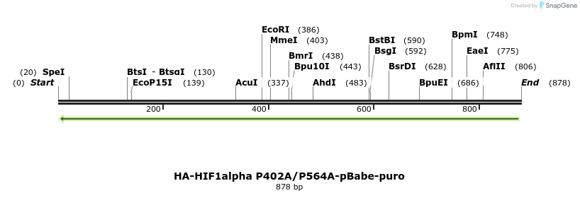 51194_map