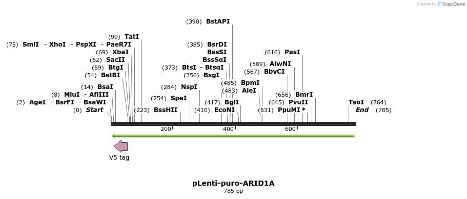 51196_map