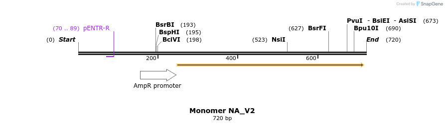 51198_map