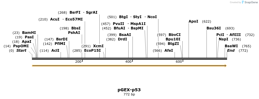 51200_map