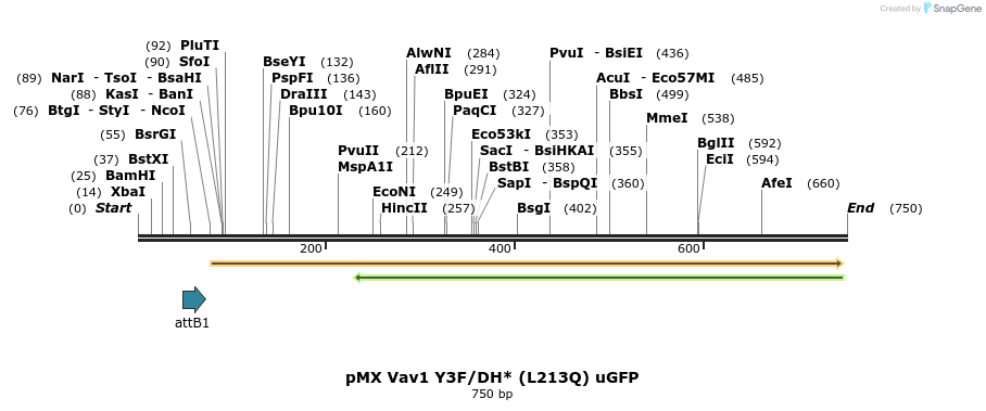 51201_map