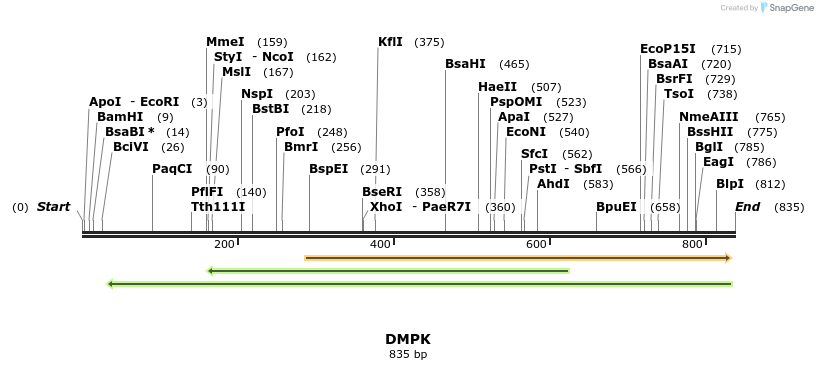 51204_map