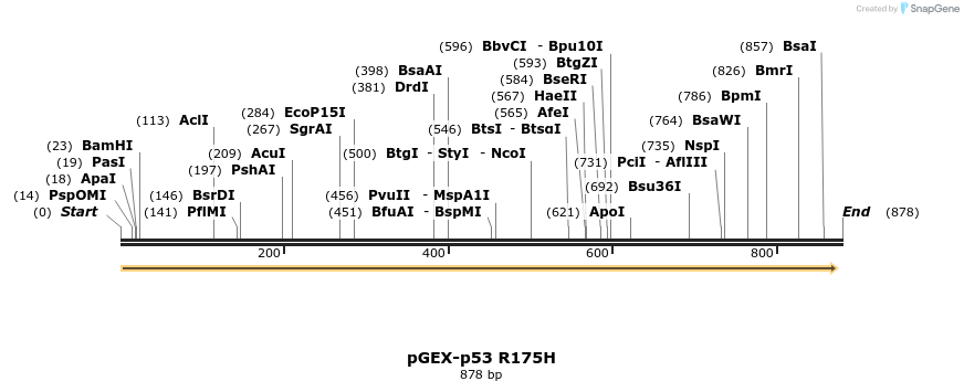 51209_map