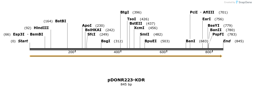 51210_map