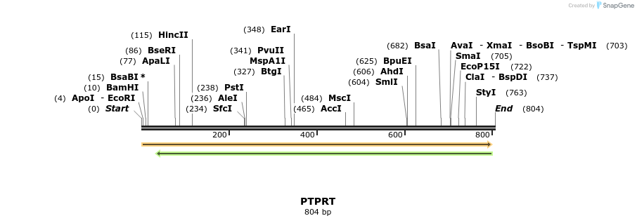 51211_map