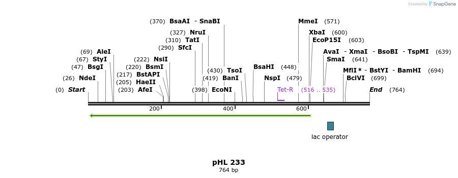 51212_map
