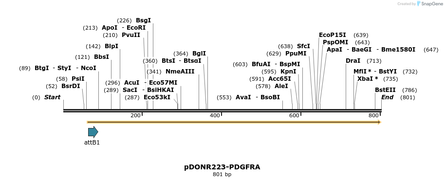 51213_map