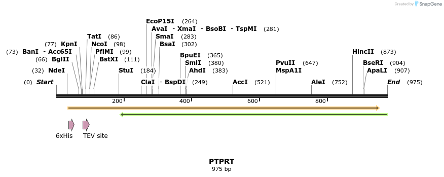 51215_map