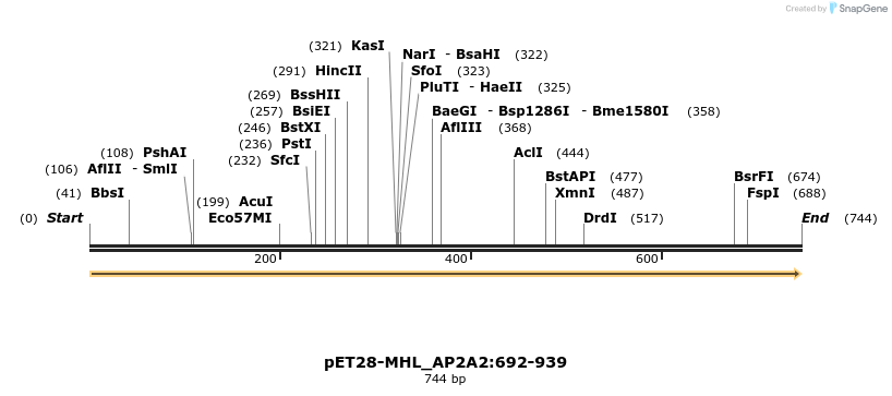 512164_map
