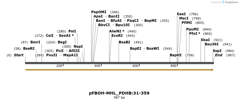 512170_map