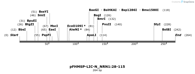 512174_map