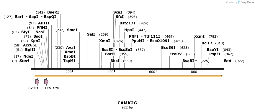 51218_map