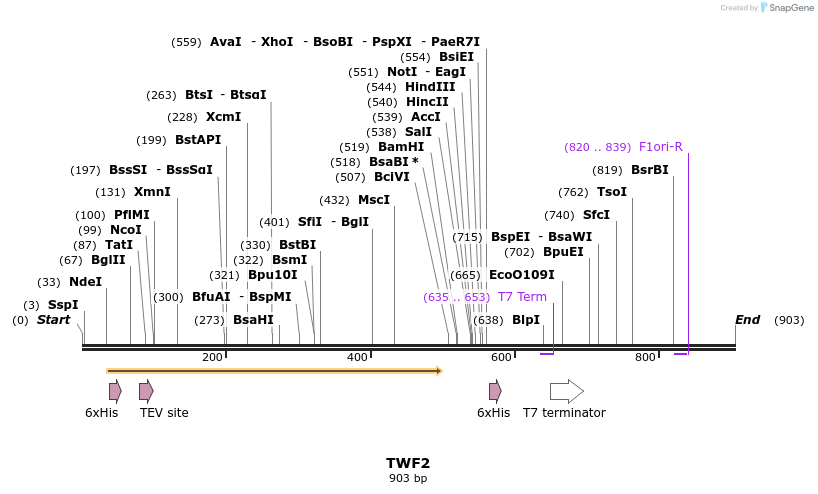 51220_map