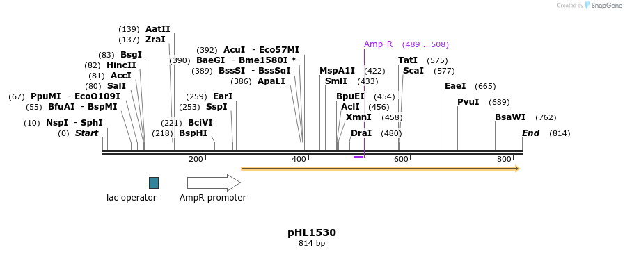 51225_map