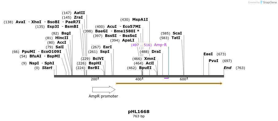 51227_map