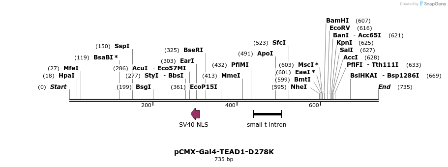 51234_map