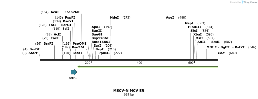 51236_map
