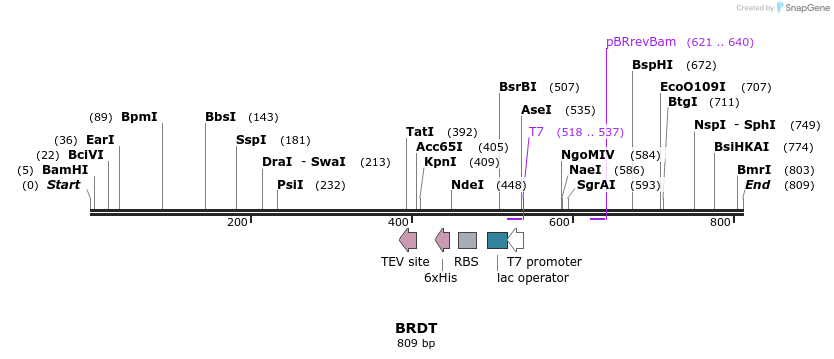 51238_map